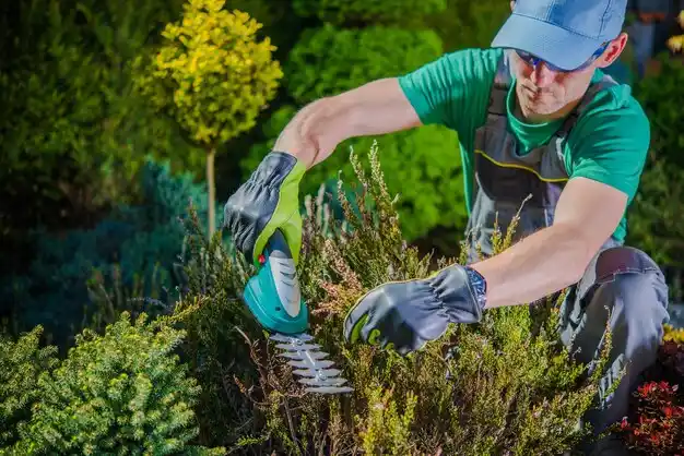 landscaping services North New Hyde Park